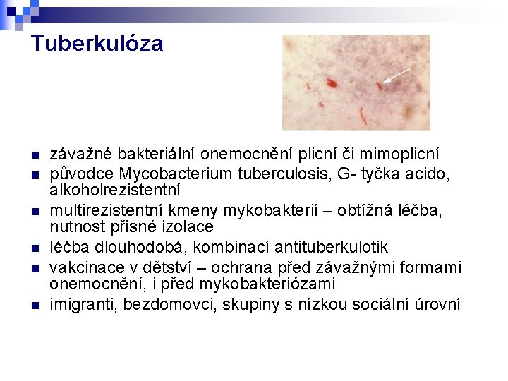 Tuberkulóza n n n závažné bakteriální onemocnění plicní či mimoplicní původce Mycobacterium tuberculosis, G-