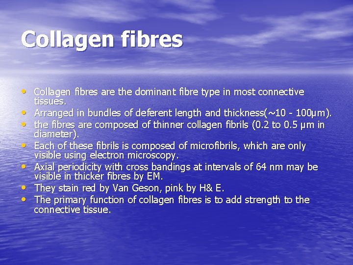 Collagen fibres • Collagen fibres are the dominant fibre type in most connective •
