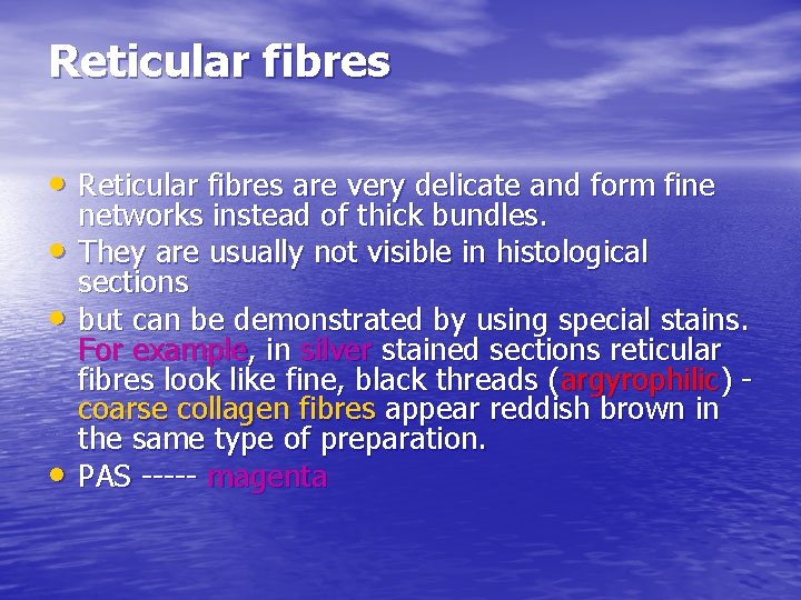 Reticular fibres • Reticular fibres are very delicate and form fine • • •