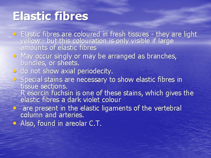 Elastic fibres • Elastic fibres are coloured in fresh tissues - they are light