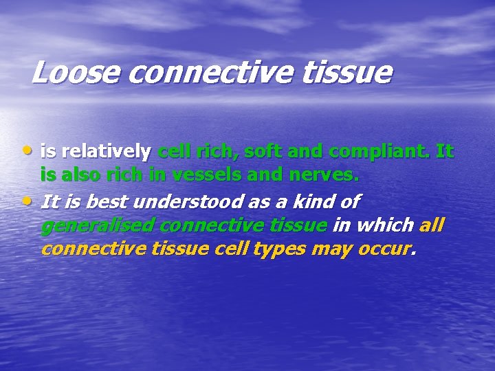 Loose connective tissue • is relatively cell rich, soft and compliant. It is also