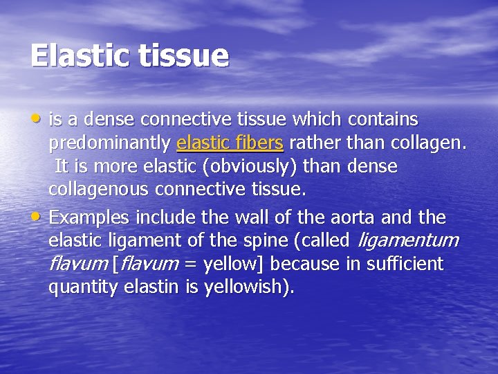 Elastic tissue • is a dense connective tissue which contains • predominantly elastic fibers