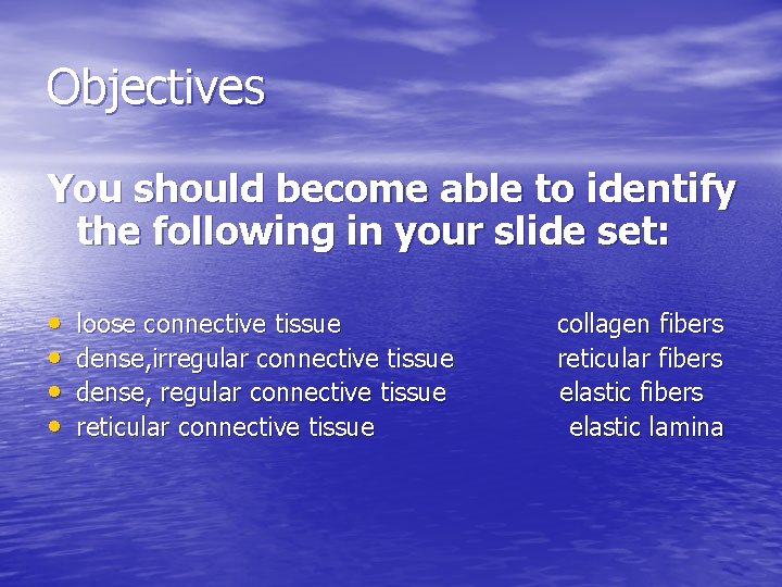 Objectives You should become able to identify the following in your slide set: •