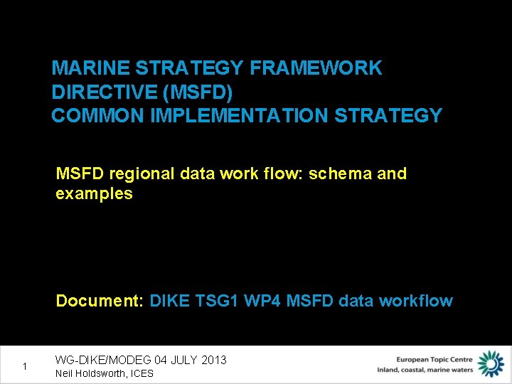 MARINE STRATEGY FRAMEWORK DIRECTIVE (MSFD) COMMON IMPLEMENTATION STRATEGY MSFD regional data work flow: schema