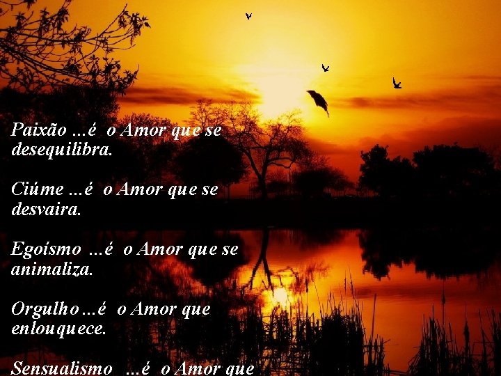 Paixão. . . é o Amor que se desequilibra. Ciúme. . . é o