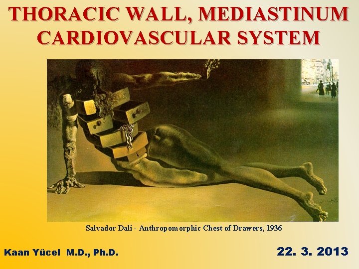 THORACIC WALL, MEDIASTINUM CARDIOVASCULAR SYSTEM Salvador Dali - Anthropomorphic Chest of Drawers, 1936 Kaan