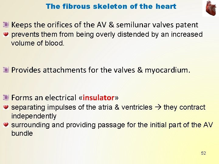The fibrous skeleton of the heart Keeps the orifices of the AV & semilunar