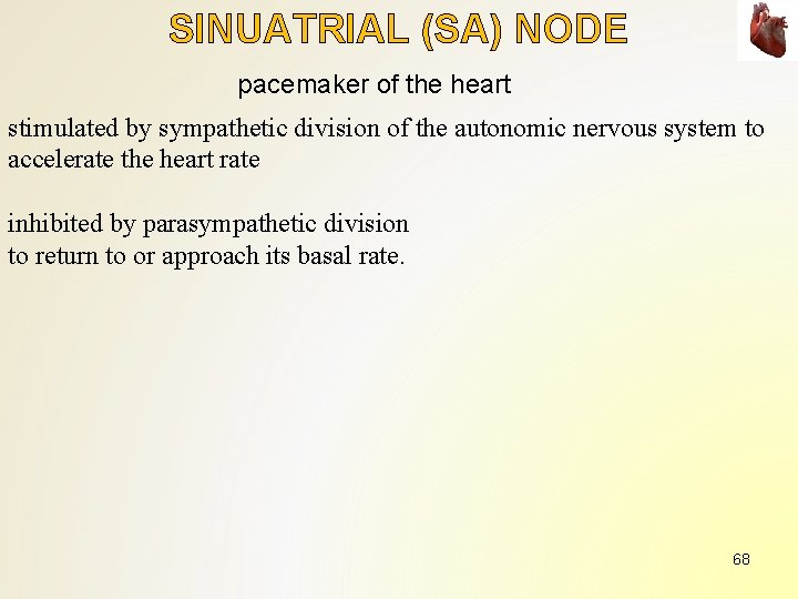 SINUATRIAL (SA) NODE pacemaker of the heart stimulated by sympathetic division of the autonomic