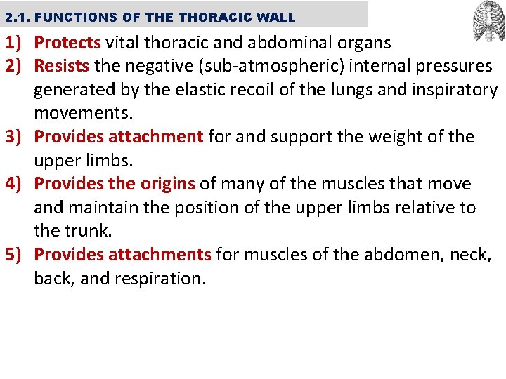 2. 1. FUNCTIONS OF THE THORACIC WALL 1) Protects vital thoracic and abdominal organs