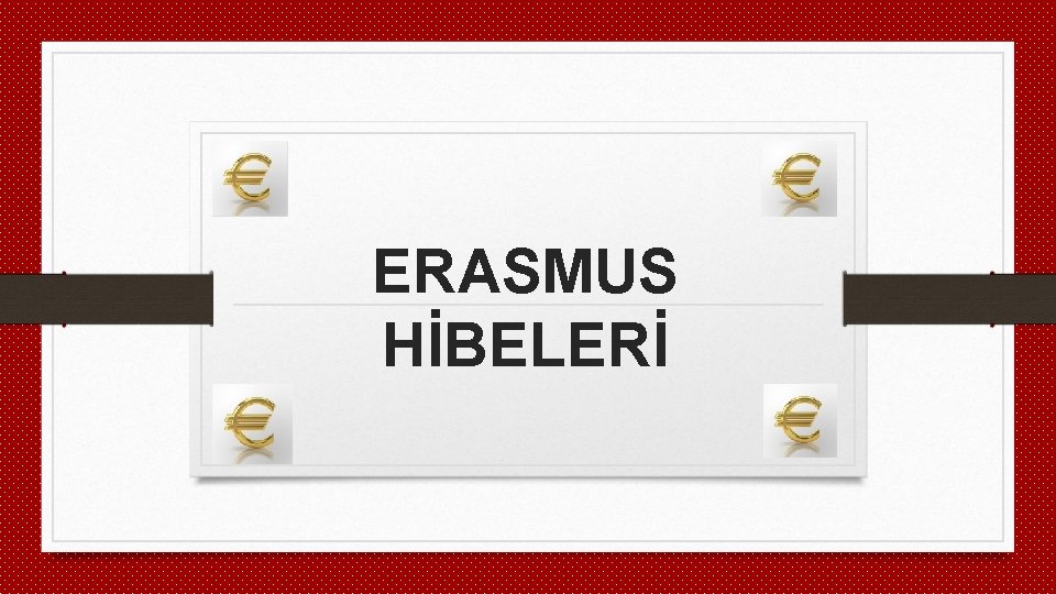 ERASMUS HİBELERİ 