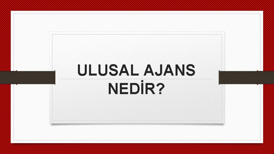 ULUSAL AJANS NEDİR? 