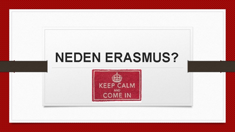 NEDEN ERASMUS? 