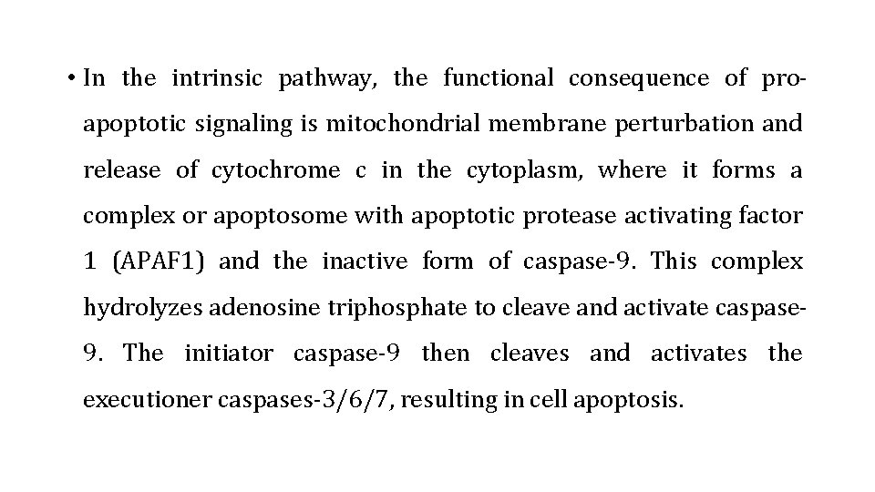  • In the intrinsic pathway, the functional consequence of proapoptotic signaling is mitochondrial