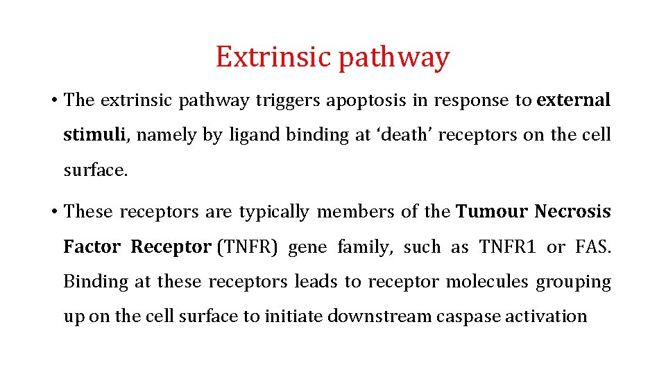 Extrinsic pathway • The extrinsic pathway triggers apoptosis in response to external stimuli, namely