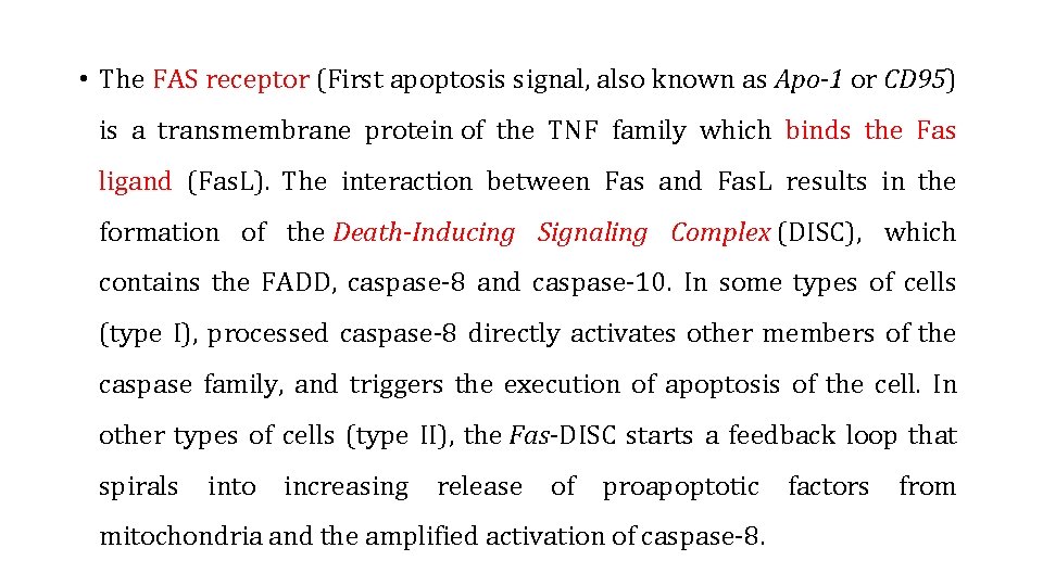  • The FAS receptor (First apoptosis signal, also known as Apo-1 or CD