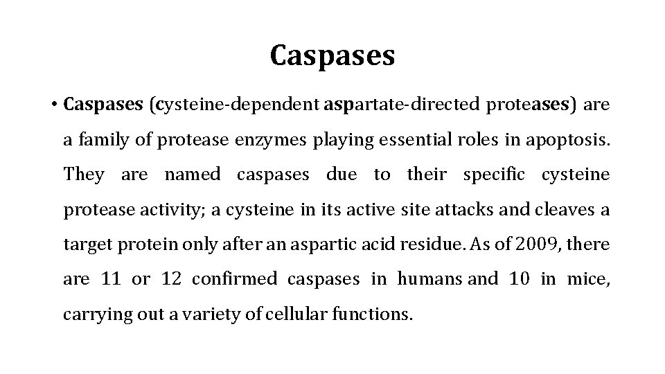 Caspases • Caspases (cysteine-dependent aspartate-directed proteases) are a family of protease enzymes playing essential