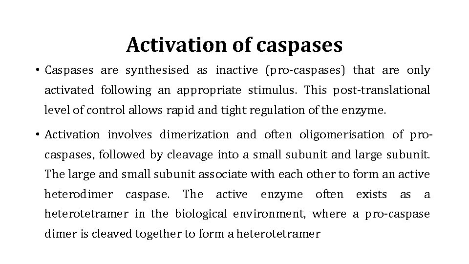 Activation of caspases • Caspases are synthesised as inactive (pro-caspases) that are only activated