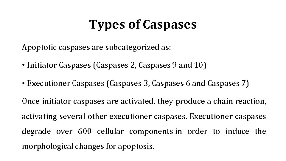 Types of Caspases Apoptotic caspases are subcategorized as: • Initiator Caspases (Caspases 2, Caspases