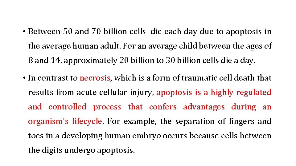  • Between 50 and 70 billion cells die each day due to apoptosis