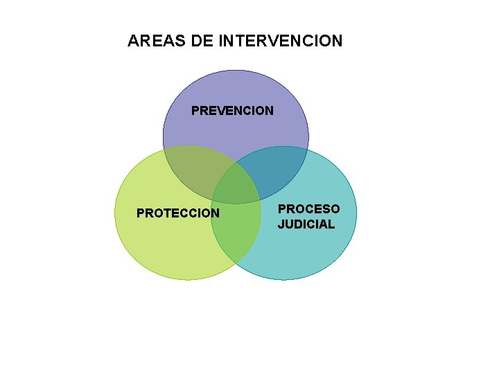 AREAS DE INTERVENCION PREVENCION PROTECCION PROCESO JUDICIAL 