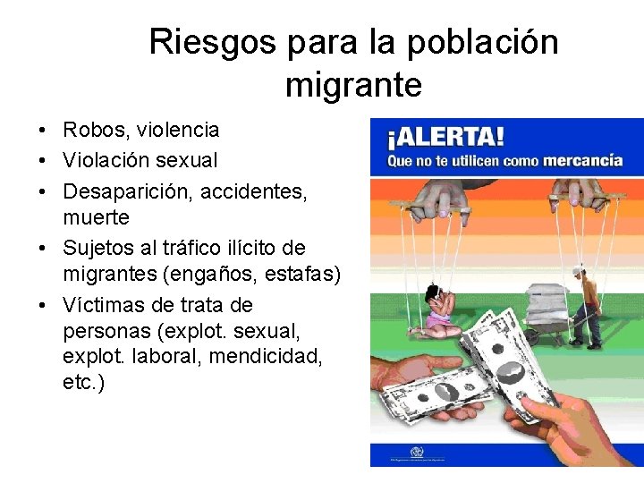 Riesgos para la población migrante • Robos, violencia • Violación sexual • Desaparición, accidentes,