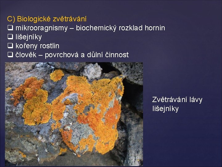 C) Biologické zvětrávání q mikrooragnismy – biochemický rozklad hornin q lišejníky q kořeny rostlin