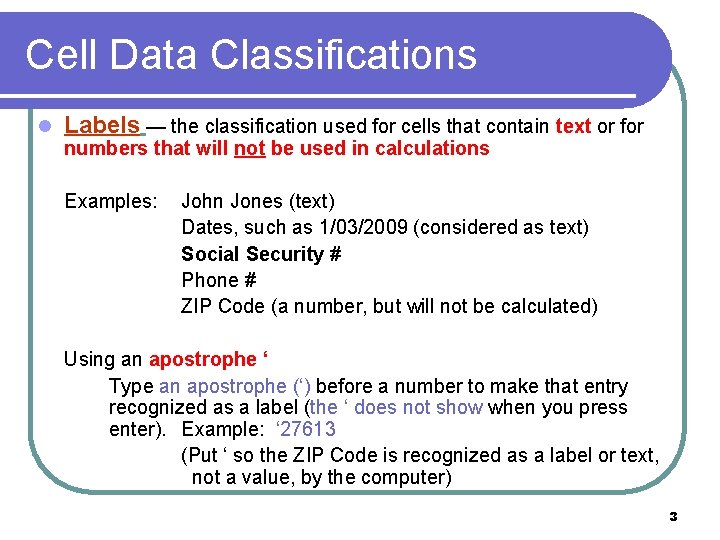 Cell Data Classifications l Labels — the classification used for cells that contain text Cell Data Classifications l Labels — the classification used for cells that contain text