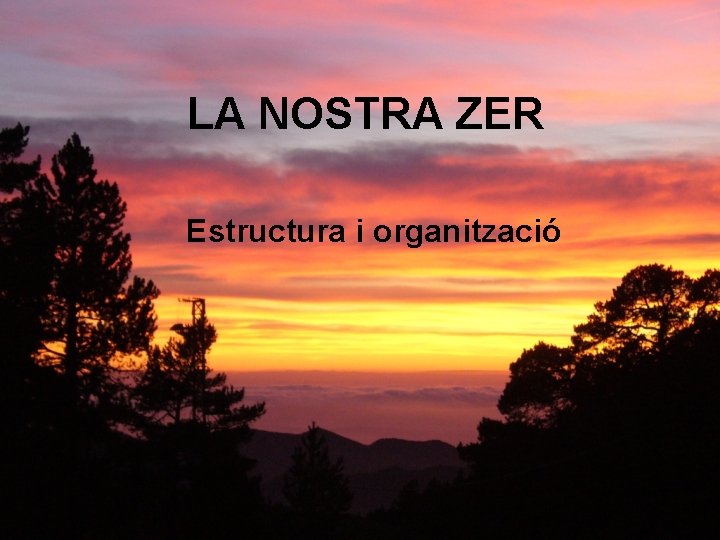 LA NOSTRA ZER Estructura i organització 