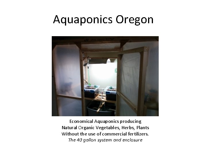 Aquaponics Oregon Economical Aquaponics producing Natural Organic Vegetables, Herbs, Plants Without the use of