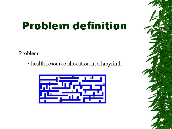 Problem definition Problem: • health resource allocation in a labyrinth 