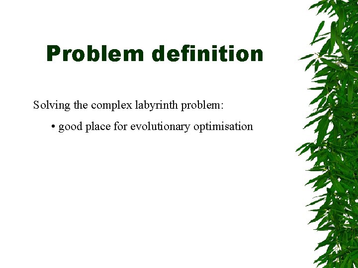 Problem definition Solving the complex labyrinth problem: • good place for evolutionary optimisation 
