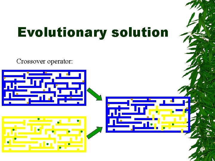 Evolutionary solution Crossover operator: 