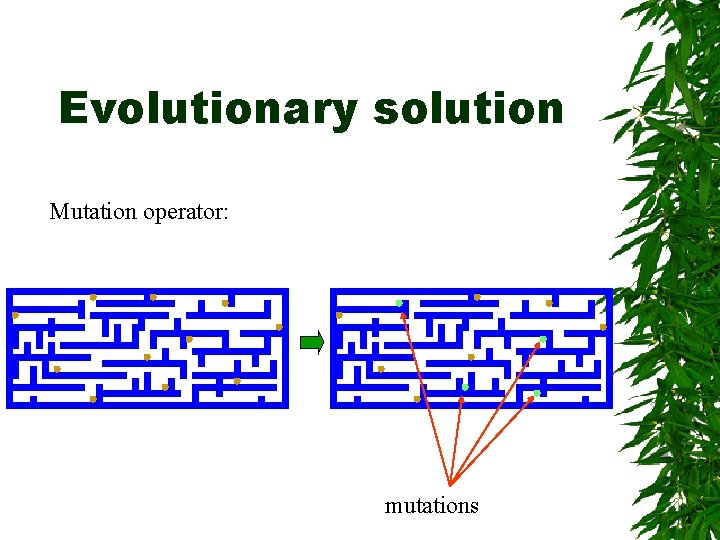 Evolutionary solution Mutation operator: mutations 