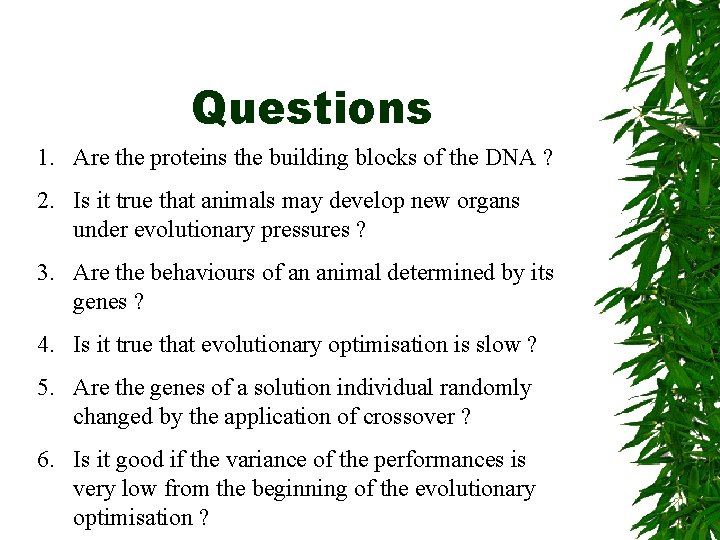 Questions 1. Are the proteins the building blocks of the DNA ? 2. Is