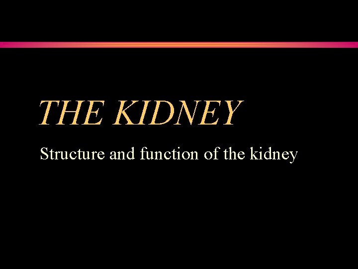 THE KIDNEY Structure and function of the kidney 