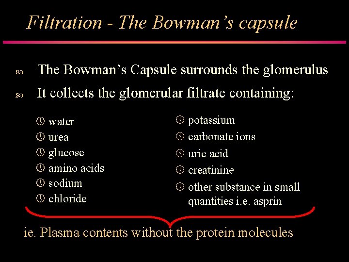 Filtration - The Bowman’s capsule The Bowman’s Capsule surrounds the glomerulus It collects the