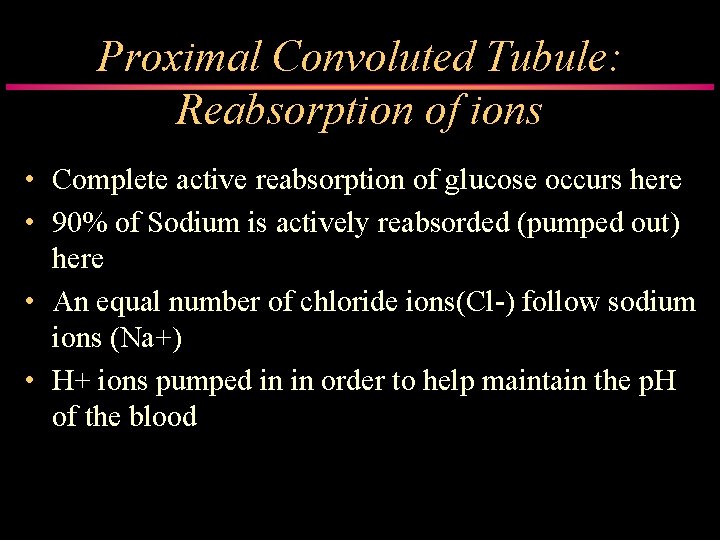 Proximal Convoluted Tubule: Reabsorption of ions • Complete active reabsorption of glucose occurs here