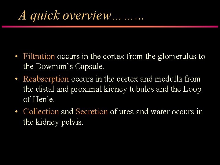 A quick overview……. . . • Filtration occurs in the cortex from the glomerulus
