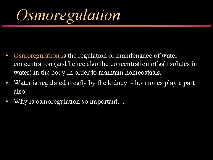 Osmoregulation • Osmoregulation is the regulation or maintenance of water concentration (and hence also