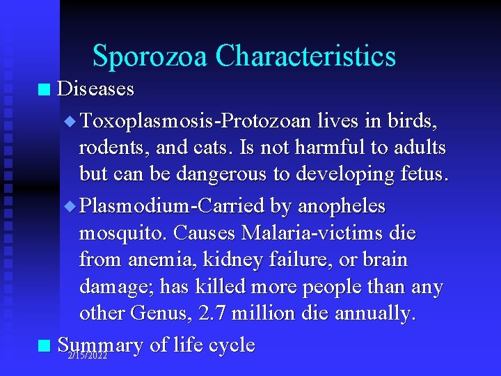 Sporozoa Characteristics Diseases u Toxoplasmosis-Protozoan lives in birds, rodents, and cats. Is not harmful