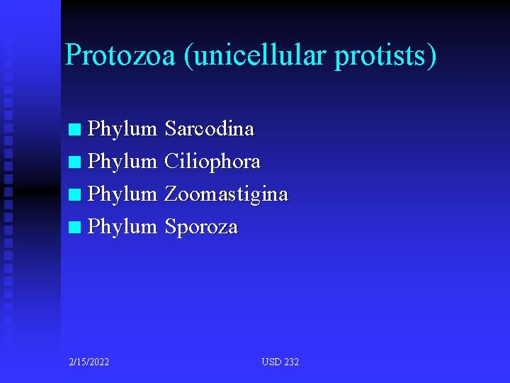 Protozoa (unicellular protists) Phylum Sarcodina n Phylum Ciliophora n Phylum Zoomastigina n Phylum Sporoza