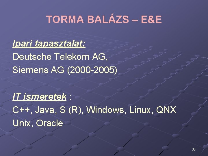 TORMA BALÁZS – E&E Ipari tapasztalat: Deutsche Telekom AG, Siemens AG (2000 -2005) IT