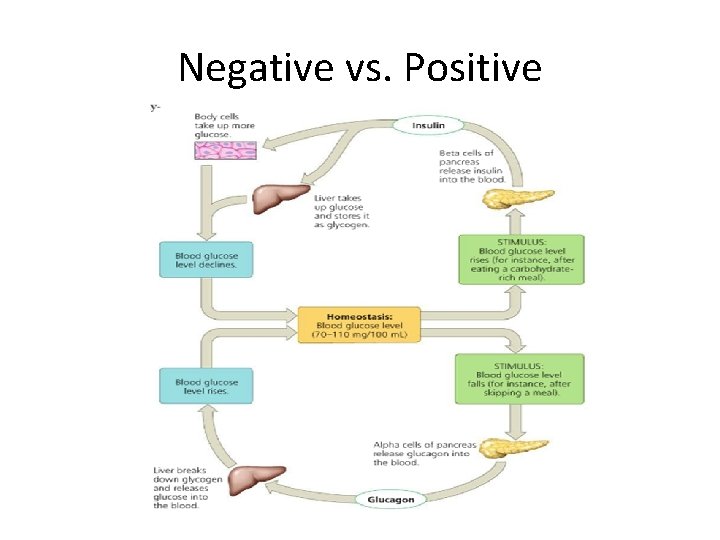 Negative vs. Positive 