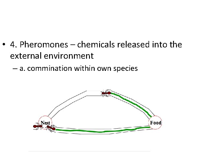  • 4. Pheromones – chemicals released into the external environment – a. commination