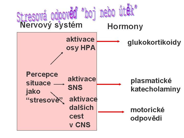 Nervový systém aktivace osy HPA Percepce aktivace situace SNS jako “stresové” aktivace dalších cest