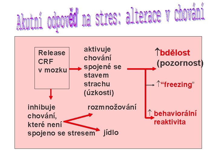 Release CRF v mozku aktivuje chování spojené se stavem strachu (úzkosti) inhibuje rozmnožování chování,