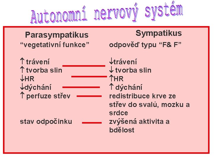 Parasympatikus Sympatikus “vegetativní funkce” odpověď typu “F& F” trávení tvorba slin HR dýchání perfuze