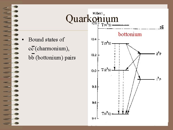 Quarkonium • Bound states of cc (charmonium), bb (bottonium) pairs bottonium charmonium 