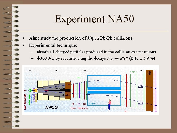 Experiment NA 50 • Aim: study the production of J/y in Pb-Pb collisions •