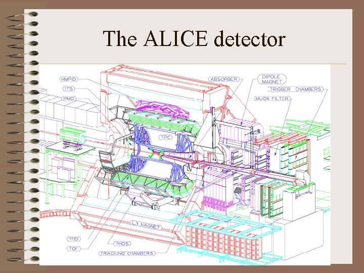 The ALICE detector 